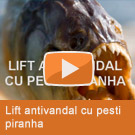 Lift cu pesti